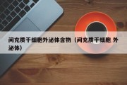 间充质干细胞外泌体含物（间充质干细胞 外泌体）
