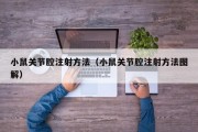 小鼠关节腔注射方法（小鼠关节腔注射方法图解）