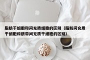 脂肪干细胞和间充质细胞的区别（脂肪间充质干细胞和脐带间充质干细胞的区别）