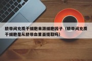 脐带间充质干细胞来源细胞因子（脐带间充质干细胞是从脐带血里面提取吗）