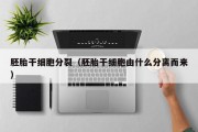 胚胎干细胞分裂（胚胎干细胞由什么分离而来）