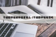 干细胞移植被移植者痛么（干细胞移植难受吗）
