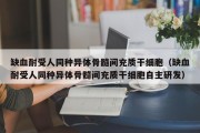 缺血耐受人同种异体骨髓间充质干细胞（缺血耐受人同种异体骨髓间充质干细胞自主研发）