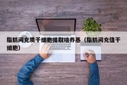 脂肪间充质干细胞提取培养基（脂肪间充值干细胞）