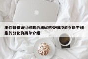 手性特征通过细胞的机械感受调控间充质干细胞的分化的简单介绍