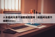 人骨髓间充质干细胞提取视频（骨髓间充质干细胞bmsc）
