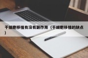 干细胞移植有没有副作用（干细胞移植的缺点）
