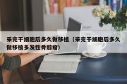 采完干细胞后多久做移植（采完干细胞后多久做移植多发性骨髓瘤）
