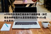 cd5阳性弥漫淋巴瘤自体干细胞移植（淋巴瘤自体移植是什么意思免疫组化中cd1a是什么意思）
