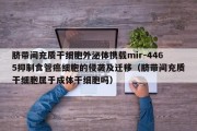 脐带间充质干细胞外泌体携载mir-4465抑制食管癌细胞的侵袭及迁移（脐带间充质干细胞属于成体干细胞吗）