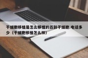 干细胞移植是怎么移植的百龄干细胞.电话多少（干细胞移植怎么样）