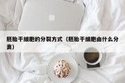 胚胎干细胞的分裂方式（胚胎干细胞由什么分离）