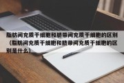 脂肪间充质干细胞和脐带间充质干细胞的区别（脂肪间充质干细胞和脐带间充质干细胞的区别是什么）