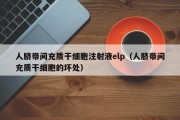 人脐带间充质干细胞注射液elp（人脐带间充质干细胞的坏处）