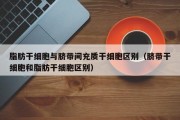 脂肪干细胞与脐带间充质干细胞区别（脐带干细胞和脂肪干细胞区别）