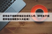 脐带血干细胞移植适合成年人吗（脐带血干细胞移植后细胞多久长起来）