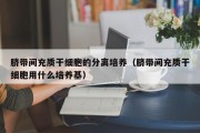 脐带间充质干细胞的分离培养（脐带间充质干细胞用什么培养基）