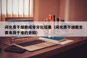 间充质干细胞成骨分化结果（间充质干细胞主要来源于谁的骨髓）
