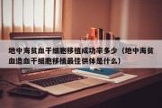 地中海贫血干细胞移植成功率多少（地中海贫血造血干细胞移植最佳供体是什么）