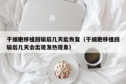 干细胞移植回输后几天能恢复（干细胞移植回输后几天会出现发热现象）