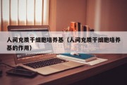 人间充质干细胞培养基（人间充质干细胞培养基的作用）