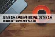 急性淋巴白血病造血干细胞移植（急性淋巴白血病造血干细胞移植要多小钱）