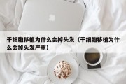 干细胞移植为什么会掉头发（干细胞移植为什么会掉头发严重）