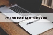 注射干细胞的效果（注射干细胞有危险吗）