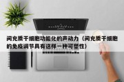 间充质干细胞功能化的声动力（间充质干细胞的免疫调节具有这样一种可塑性）