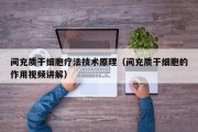 间充质干细胞疗法技术原理（间充质干细胞的作用视频讲解）