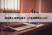 间充质上皮转化因子（上皮间质转化emt）