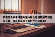 脐带间充质干细胞外泌体联合透明质酸干预骨关节炎（脐带间充质干细胞外泌体作用）