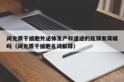 间充质干细胞外泌体生产和递送的瓶颈有突破吗（间充质干细胞名词解释）