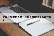 充质干细胞培养基（充质干细胞培养基是什么）