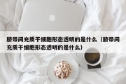脐带间充质干细胞形态透明的是什么（脐带间充质干细胞形态透明的是什么）