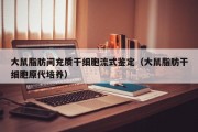 大鼠脂肪间充质干细胞流式鉴定（大鼠脂肪干细胞原代培养）