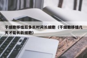 干细胞移植后多长时间长细胞（干细胞移植几天才能长新细胞）