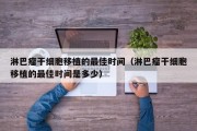 淋巴瘤干细胞移植的最佳时间（淋巴瘤干细胞移植的最佳时间是多少）