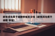 脐带间充质干细胞移植多少钱（脐带间充质干细胞 移植）