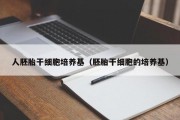 人胚胎干细胞培养基（胚胎干细胞的培养基）