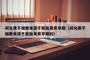 间充质干细胞来源于胚胎发育早期（间充质干细胞来源于胚胎发育早期的）