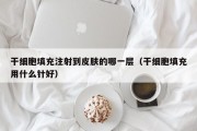 干细胞填充注射到皮肤的哪一层（干细胞填充用什么针好）