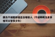 胰岛干细胞移植适合哪些人（干细胞胰岛素移植可以管多少年）