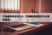 干细胞移植后吃什么（干细胞移植后吃什么饭菜最佳）