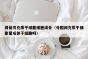 骨髓间充质干细胞细胞成骨（骨髓间充质干细胞是成体干细胞吗）