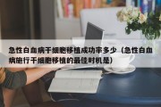 急性白血病干细胞移植成功率多少（急性白血病施行干细胞移植的最佳时机是）