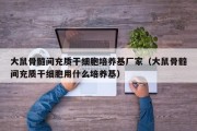大鼠骨髓间充质干细胞培养基厂家（大鼠骨髓间充质干细胞用什么培养基）