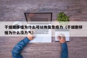 干细胞移植为什么可以恢复免疫力（干细胞移植为什么没力气）