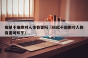 捐献干细胞对人体有害吗（捐献干细胞对人体有害吗知乎）