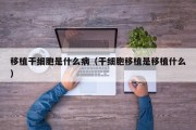 移植干细胞是什么病（干细胞移植是移植什么）
